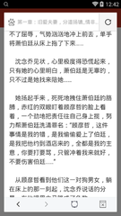 爱游戏体育app罗马的赞助商